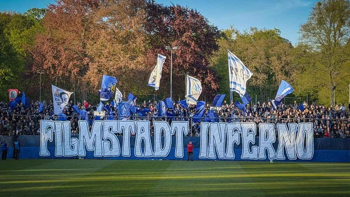 Babelsberg stuns halle, secures crucial klassenerhalt push