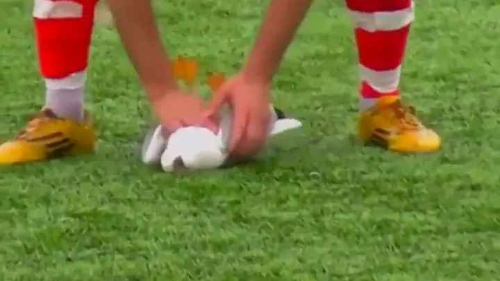 Football hero saves seagull with cpr in turkey
