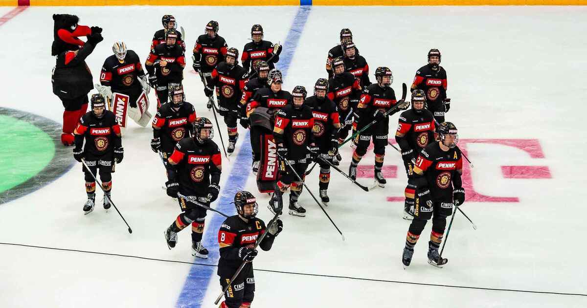 German ice hockey faces funding crisis: league seeks major boost