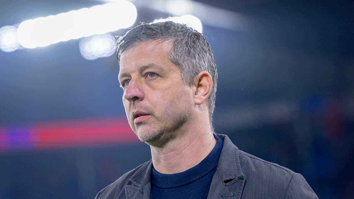 Grasshoppers sack coach scheiblehner after dismal super league run