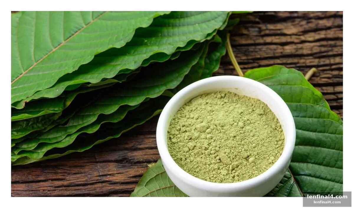 Health risks linked to kratom use