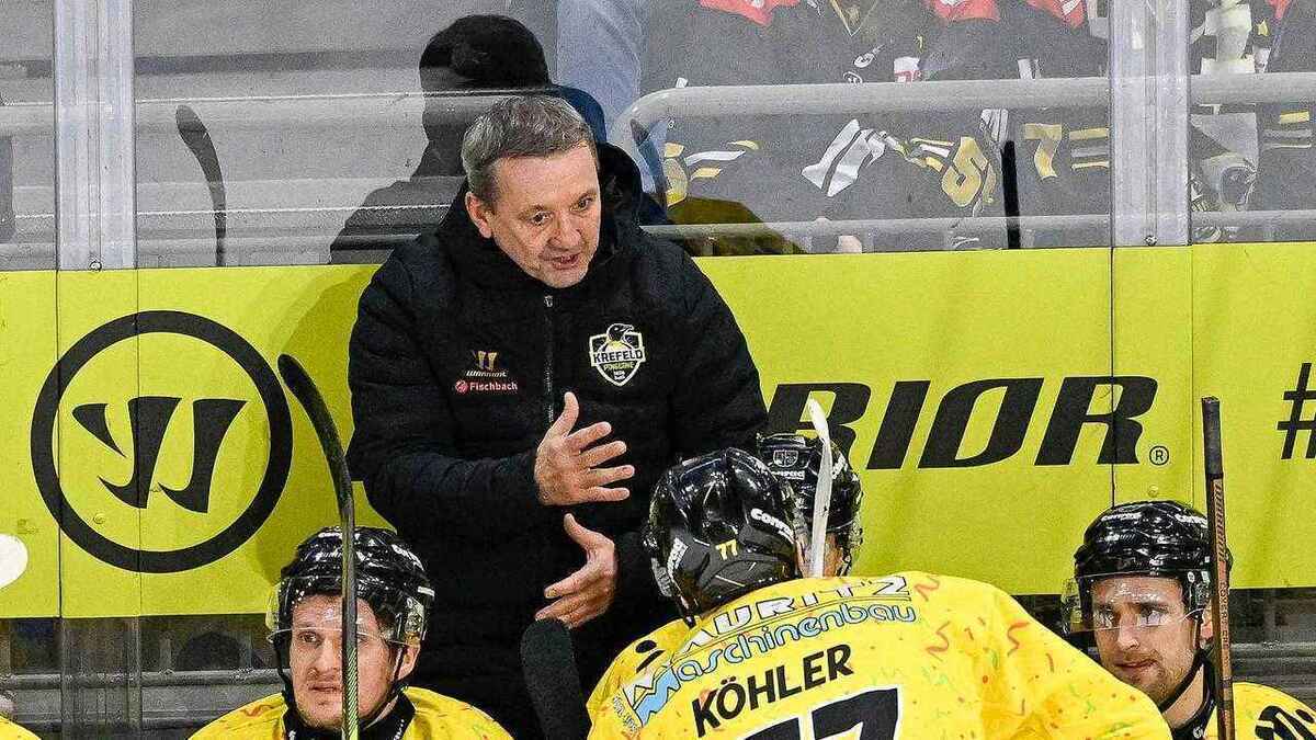 Krefeld pinguine face tough playoffs challenge