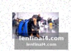 Impact on ita airways