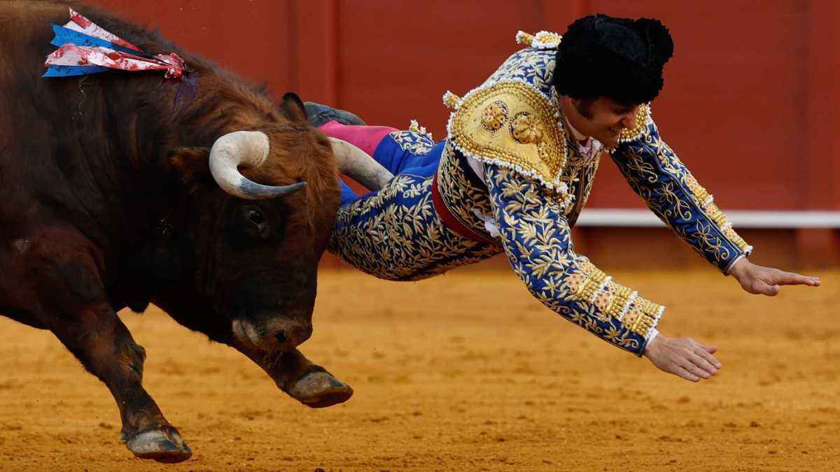 Morante down: severe gash rocks bullfighter's glute