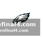 The nfl