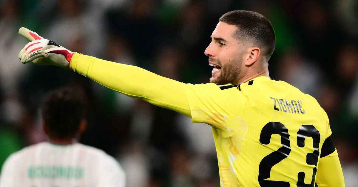 Zidane's world cup hopes shaken by brutal injury